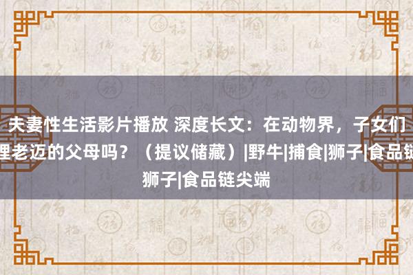 夫妻性生活影片播放 深度长文：在动物界，子女们会护理老迈的父母吗？（提议储藏）|野牛|捕食|狮子|食品链尖端