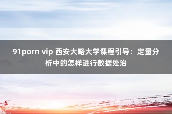 91porn vip 西安大略大学课程引导：定量分析中的怎样进行数据处治