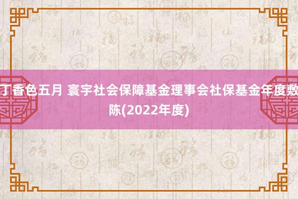 丁香色五月 寰宇社会保障基金理事会社保基金年度敷陈(2022年度)