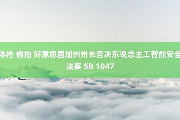 体检 偷拍 好意思国加州州长否决东说念主工智能安全法案 SB 1047