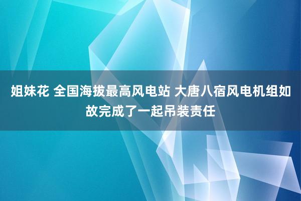 姐妹花 全国海拔最高风电站 大唐八宿风电机组如故完成了一起吊装责任