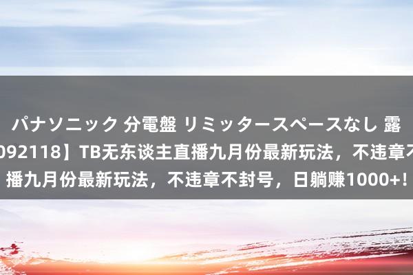 パナソニック 分電盤 リミッタースペースなし 露出・半埋込両用形 【092118】TB无东谈主直播九月份最新玩法，不违章不封号，日躺赚1000+！