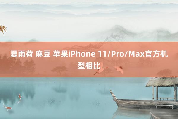 夏雨荷 麻豆 苹果iPhone 11/Pro/Max官方机型相比