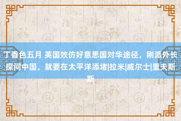 丁香色五月 英国效仿好意思国对华途径，刚派外长探问中国，就要在太平洋添堵|拉米|威尔士|里夫斯