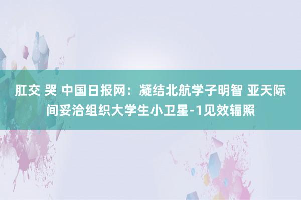 肛交 哭 中国日报网：凝结北航学子明智 亚天际间妥洽组织大学生小卫星-1见效辐照