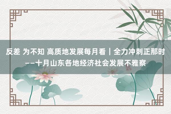 反差 为不知 高质地发展每月看｜全力冲刺正那时——十月山东各地经济社会发展不雅察