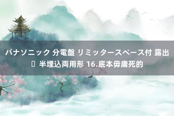 パナソニック 分電盤 リミッタースペース付 露出・半埋込両用形 16.底本毋庸死的