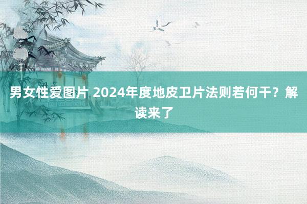 男女性爱图片 2024年度地皮卫片法则若何干？解读来了